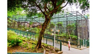 Hong Kong’s Zoological & Botanical Gardens